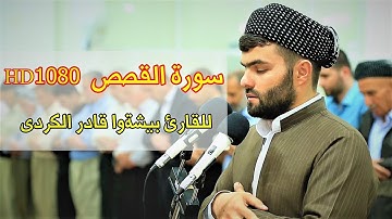سورة القصص كاملة  - بيشةوا قادر الكردى