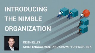 Nimble: A Roadmap for Enabling Successful Enterprise Transformation