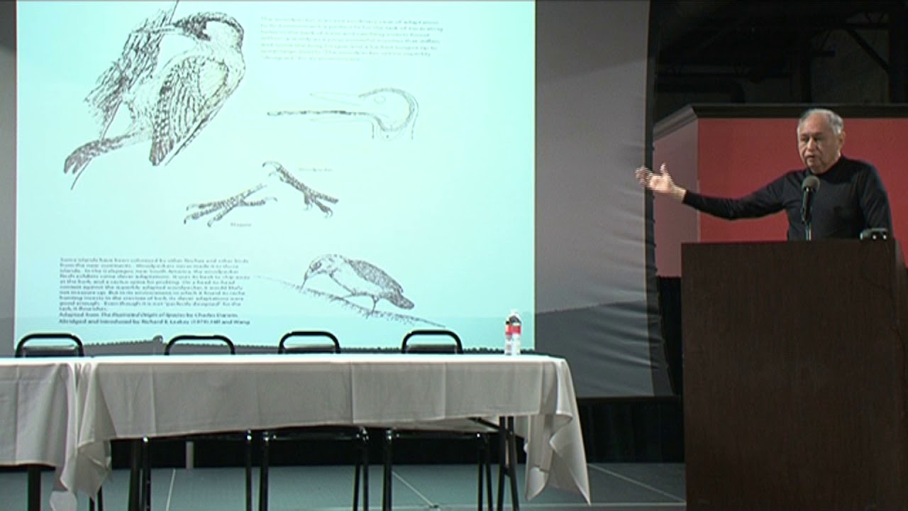 Dr. Gonzalo Munevar: Implications of Biological Evolution 