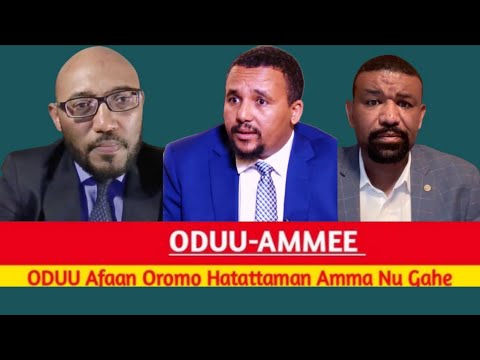 Dhimma Maqaa Marii Araaraa KFO ABO Fi PP Jedhuu Irraa Dr Tsegaye Ararsa 