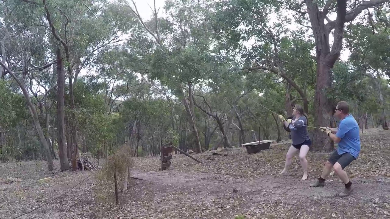 Pulling A Tree Down - YouTube
