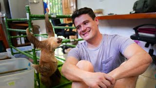 Visiting Baby Sloths in Costa Rica