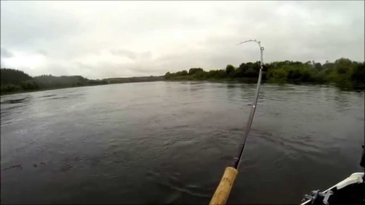 Namsen, laksefight, 15,2 kg, 2014