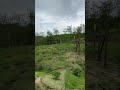 Invierte en tu Lote cerca al milagroso de Buga, Valle