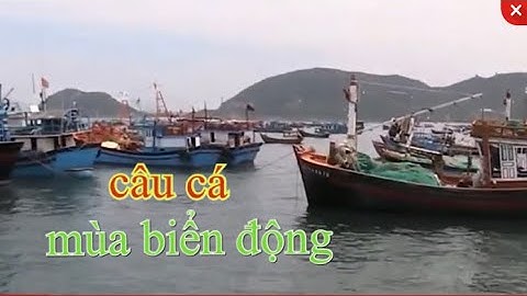 CÂU CÁ BIỂN | CÁ GIÒ, CÁ DÌA NGÀY MƯA BÃO TẠI CẢNG VÂN PHONG | FISHING Người Đại Lãnh