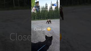 #wtf #youtubeshorts #bear #shortvideo