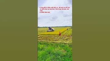 5 Công đất có điện nước đầy đủ , đường xe tải vivu dân cư hiện hửu chỉ 650 triệu lh 0949 394 622