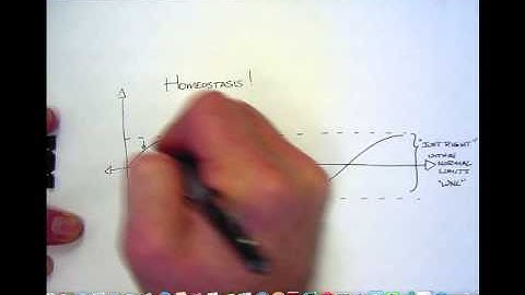 precious graph homeostasis #1