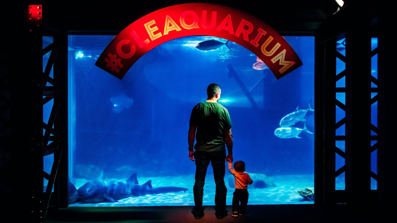 Greater Cleveland Aquarium [2020] YouTube