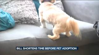 Bill would shorten shelter time before animals adopted, euthanized