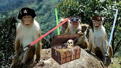 Sometimes I feel like I