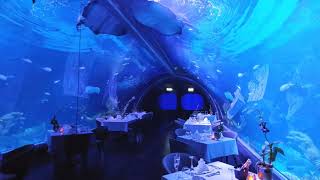 Andasi phuket : exclusive underwater dinner at central floresta