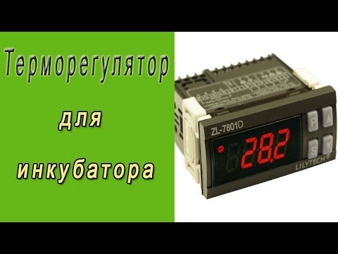 Терморегулятор из Китая, обзор и настройка.