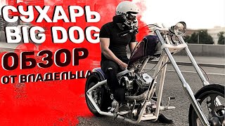 Кастом. Big Dog. Сухарь. Честный обзор от владельца.