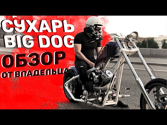 Обзор мотоцикла BigDog Ridgeback 2005: особенности, характеристики, отзывы
