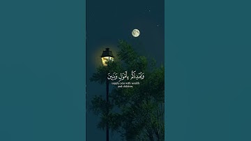 ﴿ فَقُلْتُ اسْتَغْفِرُوا رَبَّكُمْ إِنَّهُ كَانَ غَفَّارًا ﴾ تلاوة خاشعة من سورة نوح #اكسبلور