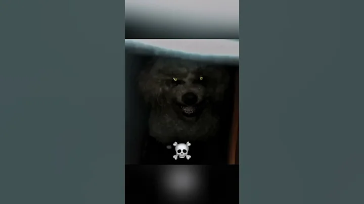 Skinwalker do not exist ❌ #skinwalker