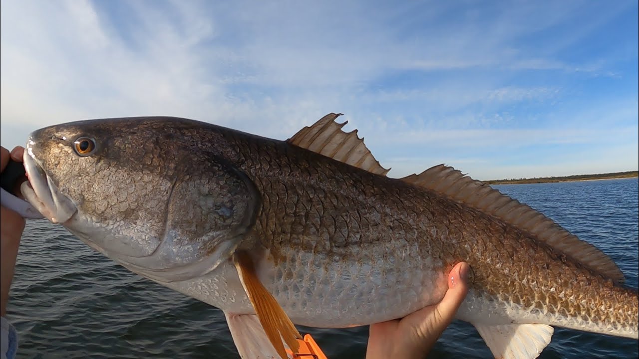 My Personal Best Redfish from kayak 12/13/23 - YouTube