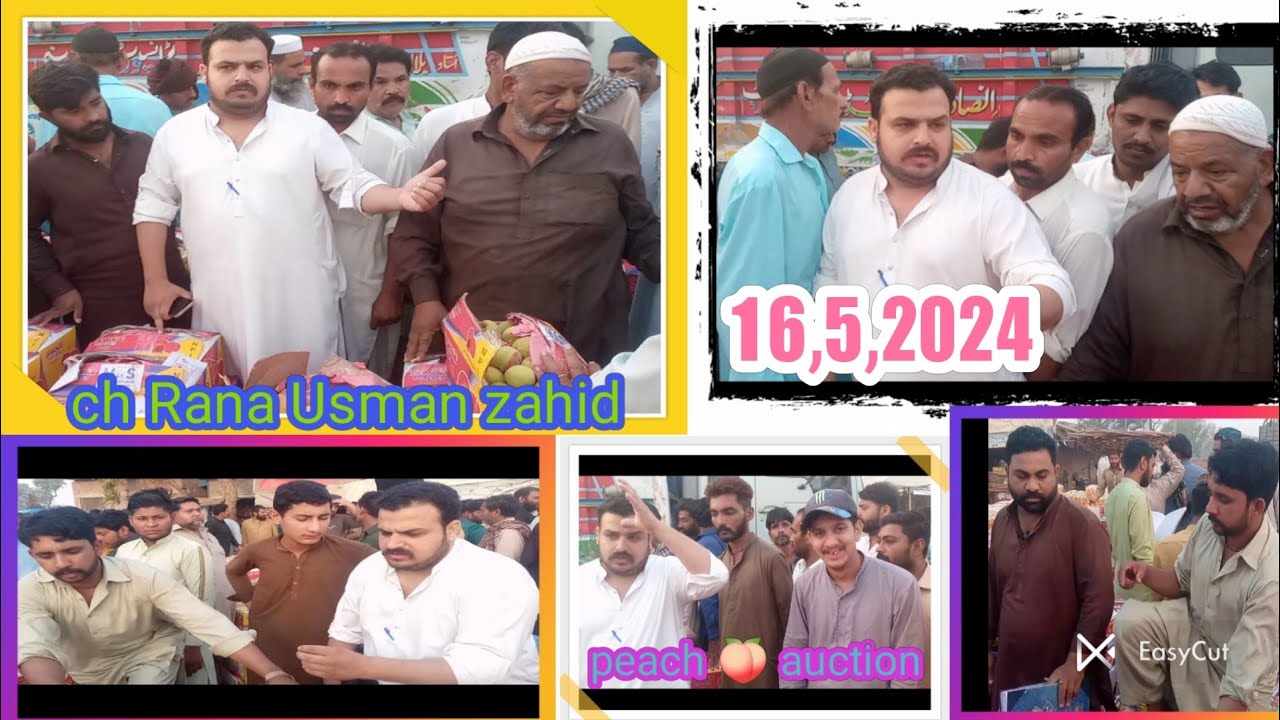 16,5,2024 ch Rana Usman zahid is engaged in peach auction [ known as ch ...