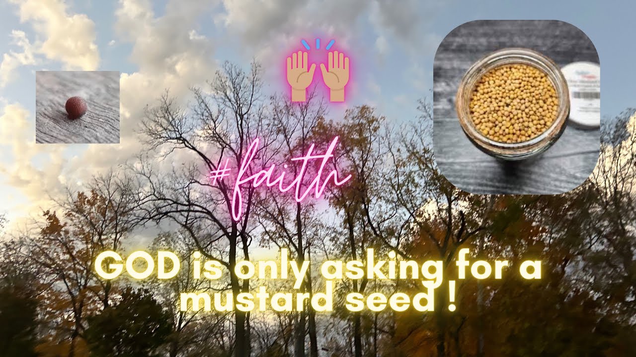 Use your gifts 🎁 to glorify Adonai *My Vulnerable 