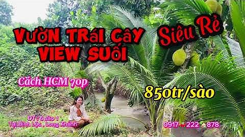 💥 𝐕𝐔̛𝐎̛̀𝐍 𝐓𝐑𝐀́𝐈 𝐂𝐀̂𝐘 𝐒𝐈𝐄̂𝐔 𝐑𝐄̉ 𝐕𝐈𝐄𝐖 𝐒𝐔𝐎̂́𝐈 850tr/s tại Long Khánh