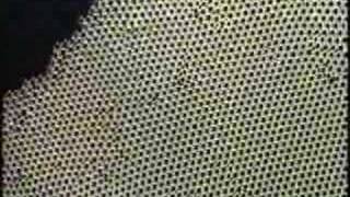 Metamorphic Rocks  - Lesson 8 - Part 5 of 6
