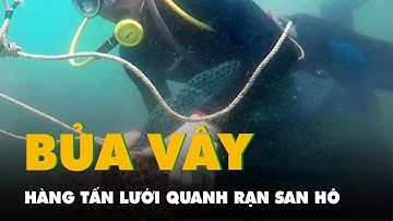 Thợ lặn cắt hàng tấn lưới bủa vây rạn san hô ở Côn Đảo