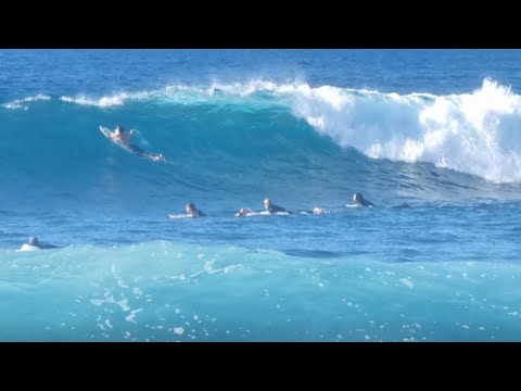 Surfing Playa de las Americas Tenerife  2025 - Nice swell 