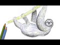 Draw a Sloth Hanging from a branch ~ Easy Narrated Draw Along