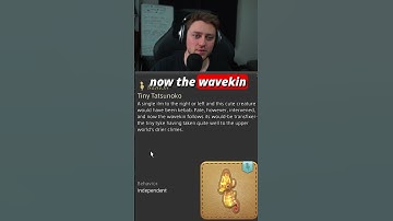 The Cute Minions NEVER END in FFXIV!