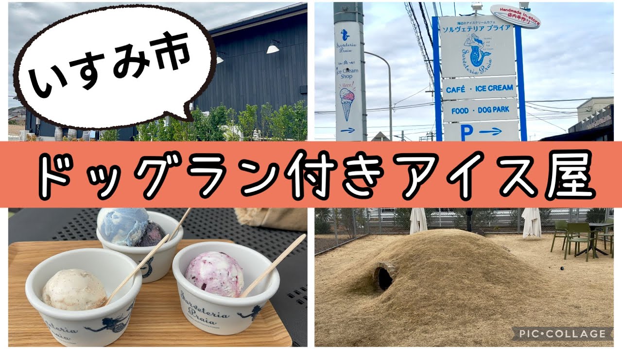 【お出かけ】いすみ市🏠ドッグラン付きアイスクリーム屋🍦ソルヴェテリアプライア✨