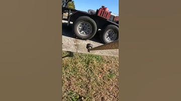 Edging down driveway with Echo 2620T string trimmer