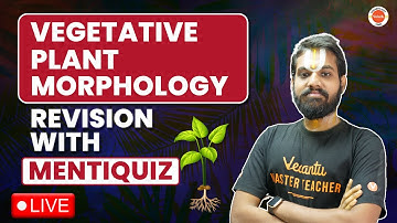Vegetative Plant Morphology of Flowering Plants Revision With MENTIQUIZ | Class 11 Biology | NEET