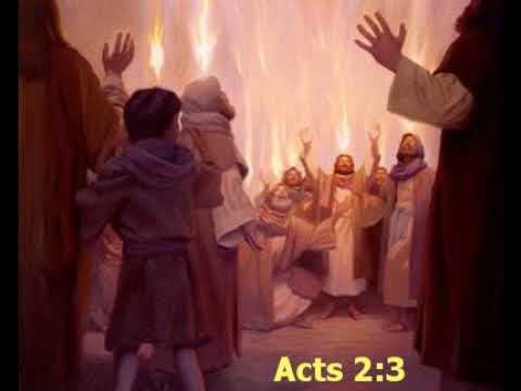 بخور صاعدة و نار نازلة ماير فرح