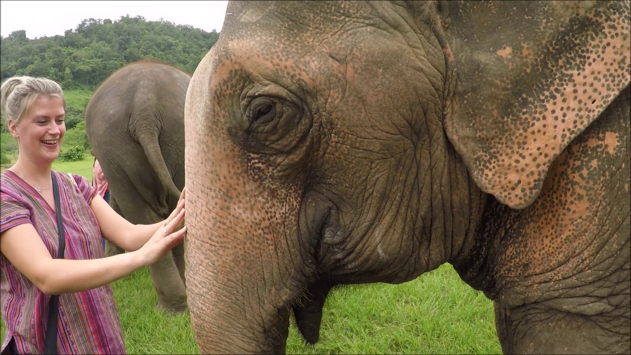 Happy Elephant Home Chiang Mai