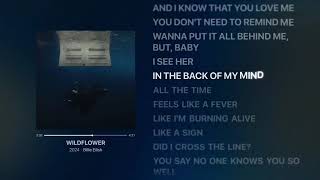 Billie Eilish  Wildflower s