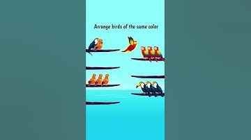 Bird Sort Puzzle 11 (9-16)