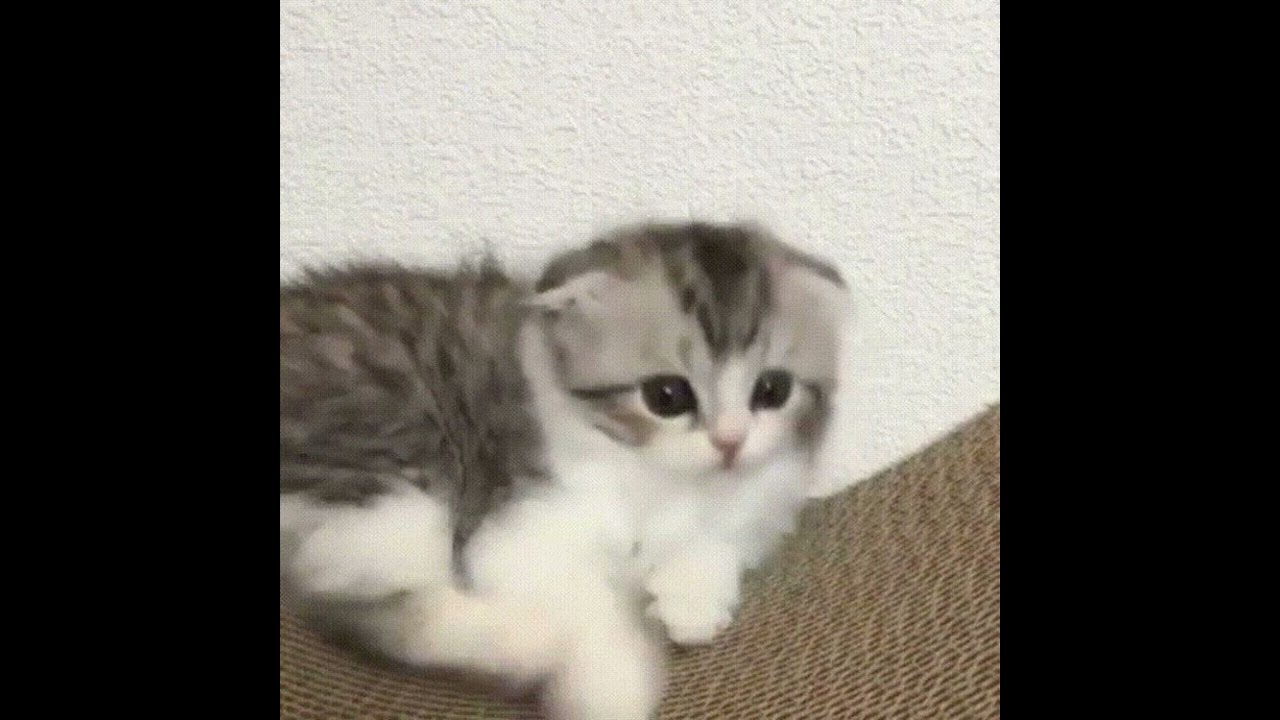 мия бойка - гагарин speed up