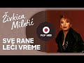 Živkica Miletić Sve Rane Leči Vreme Audio 1993 HD