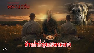 EP6 นิยายธรรมะเรื่อง พระฌอร์น ตอน ช้างป่าที่ทุ่งแสลงหลวง