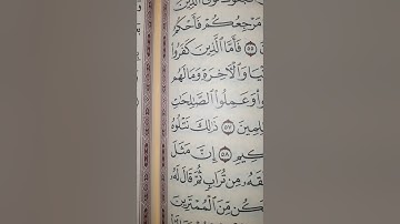 فلما أحس عيسى منهم الكفر. سورة ال عمران قراءة مميزة قرآن كريم الحرم النبوي الشريف المدينة المنورة