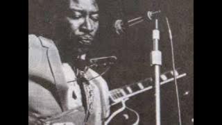 Jimmy Reed - Aw Shucks, Hush Your Mouth  （1962）