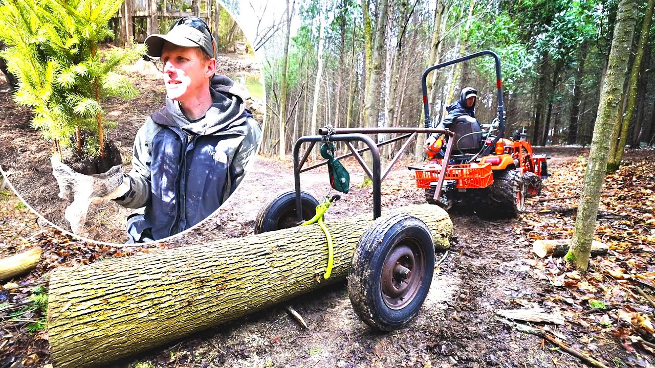 'A Day in the Life' at My Off Grid Property! | Fish Pond, Forest Maintenance, Winching, Sawmill Shed