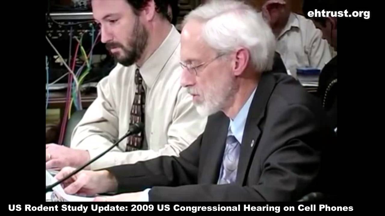 NIH Rat Study on Cell Phones and Wireless Radiation Update: National Toxicology Program Statements