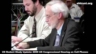 NIH Rat Study on Cell Phones and Wireless Radiation Update: National Toxicology Program Statements