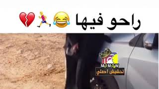 واثقة من نفسها هههههههههههههه