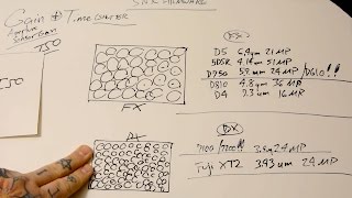 FX vs. DX sensor REALITIES, 'more light', Dynamic Range, GAIN & EFFICIENCY