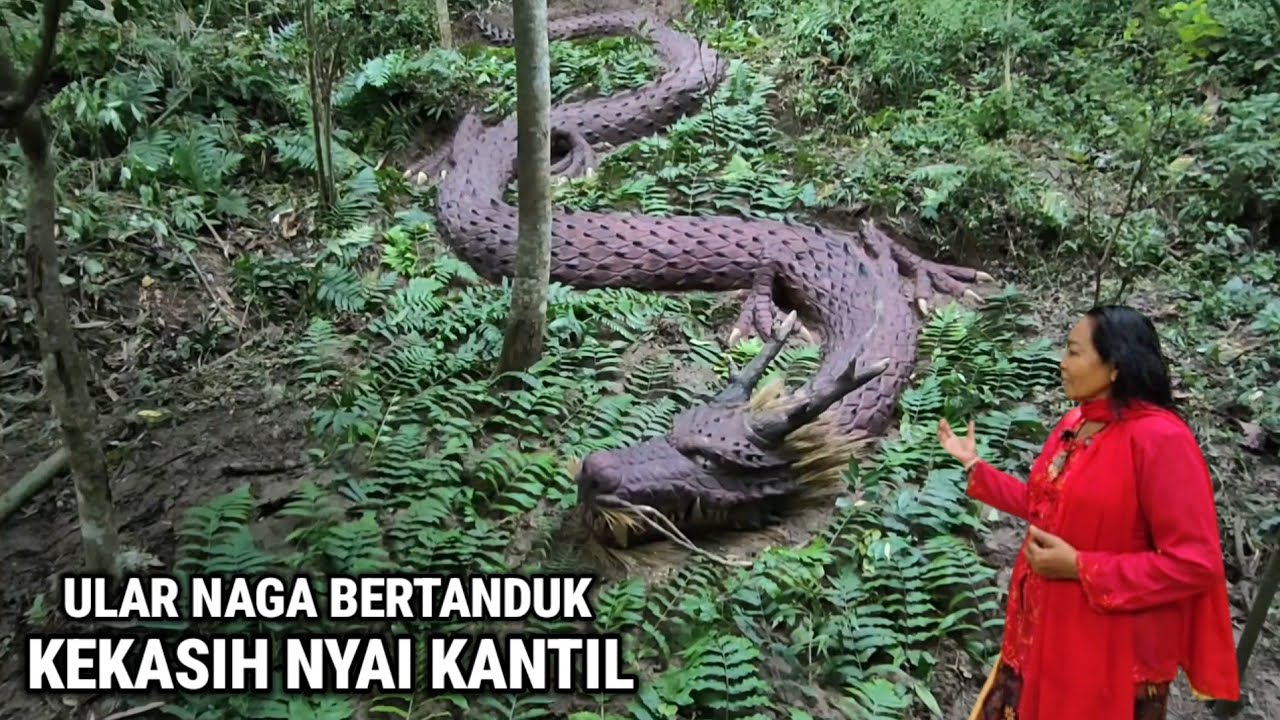 Ngeri !! Ular Naga Bertanduk Penghuni Hutan Larangan Ternyata Suaminya Nyai Kantil Dukun Sakti