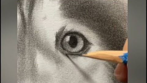 Charcoal Dog Portrait Drawing – Hyper Realistic Pet Art Time-lapse