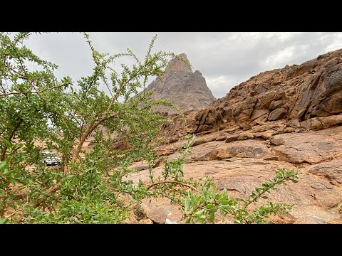 جبل العميد القصيم الفوارة 2023